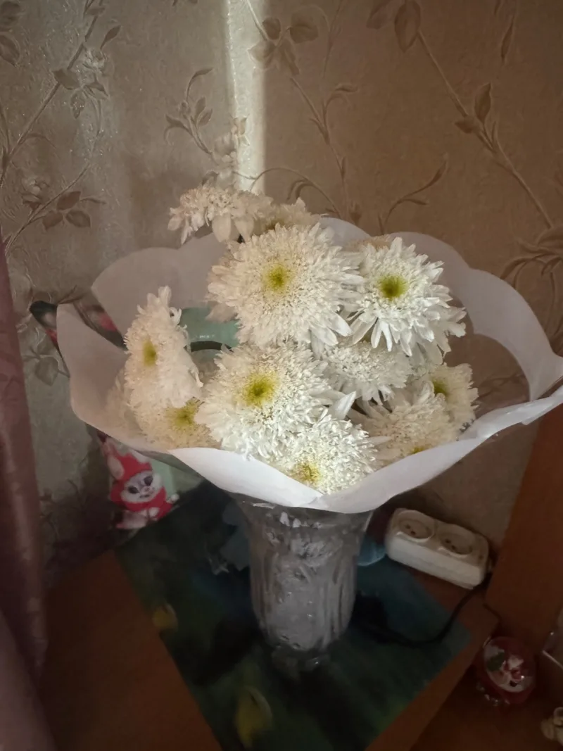 Анастасія, 20