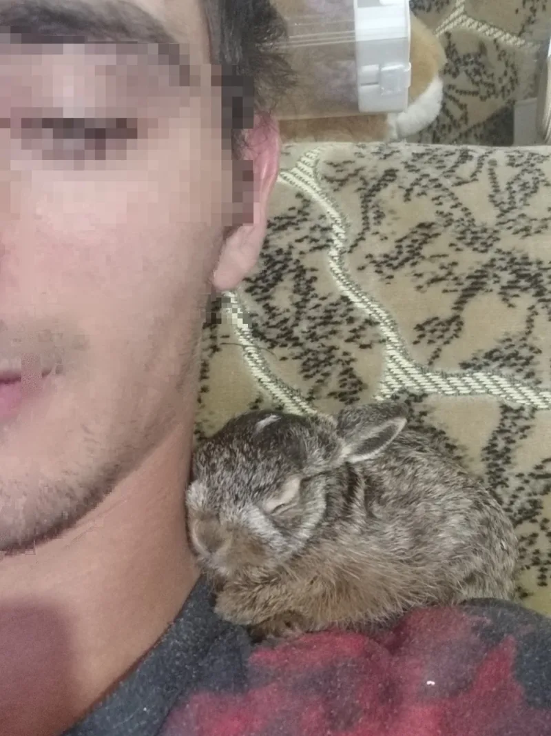 Vitalik, 22