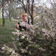 Алена