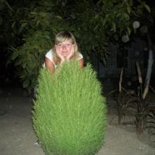 солнце