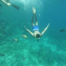 Эдуард Суровый