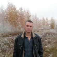 vikor