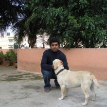 hemant