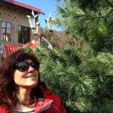 Svetkieva