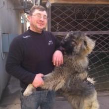 Андрей