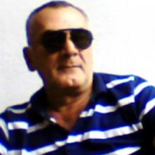 david
