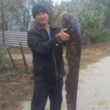 николай