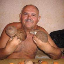 Веня