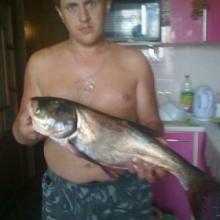 Роман