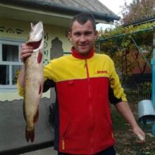 коля
