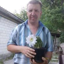 Вова